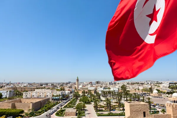 Sahara Tunisien tunisian flag
